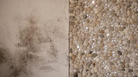 Czym czyścić tynk mozaikowy wewnątrz