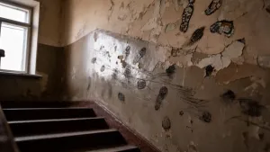 Tynk mozaikowy na klatce schodowej